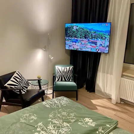 Rudolf 26m2 Apartment Graz